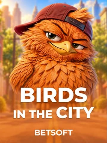 Birds in the City